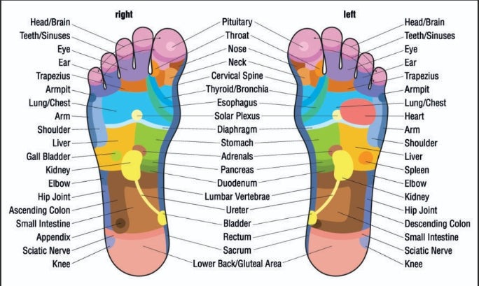 Revive Step Magnetic Acupressure Insoles